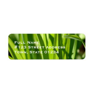 Grass-Mailing-Labels