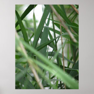 Grass Poster