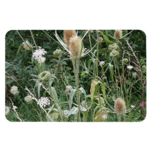 Grass Premium Magnet