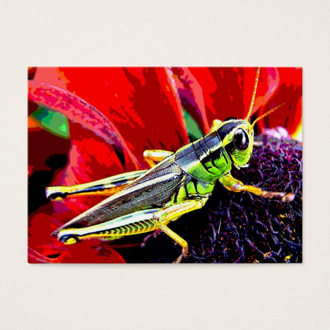 Grasshopper ATC (Vorderseite)