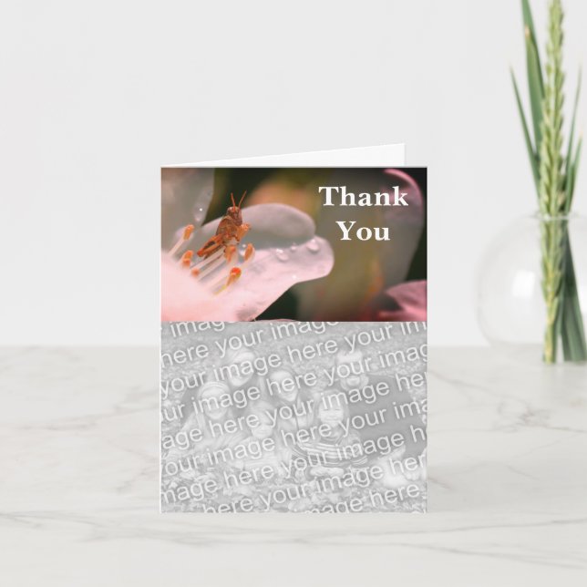 Grasshopper auf Azalea Vielen Dank für Ihre Fotoka Dankeskarte (Vorderseite)