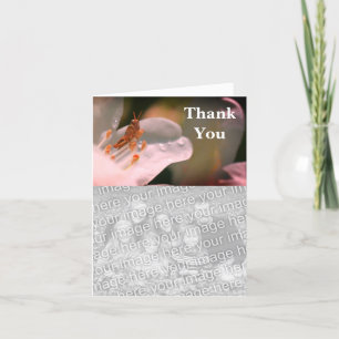 Grasshopper auf Azalea Vielen Dank für Ihre Fotoka Dankeskarte