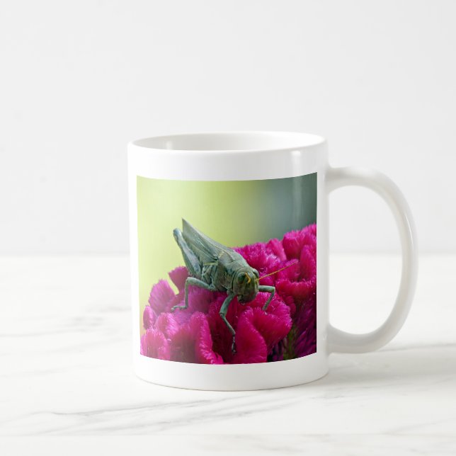 Grasshopper auf dem Cockscomb Kaffeetasse (Rechts)