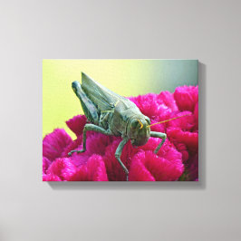 Grasshopper auf dem Cockscomb Leinwanddruck