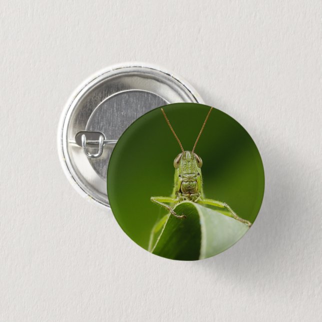 Grasshopper auf Leaf, Grasshopper-Gesicht Nah-up Button (Vorne & Hinten)