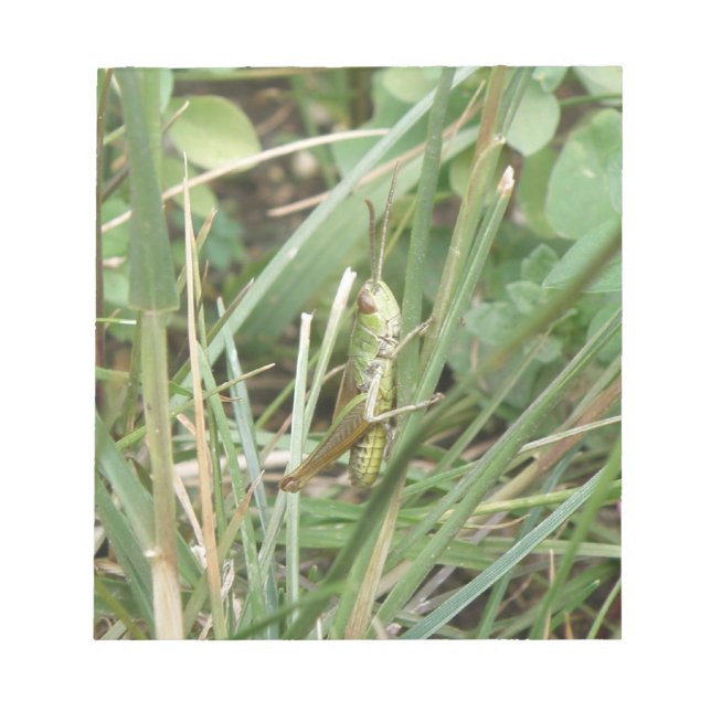Grasshopper Camouflage Notepad Notizblock (Vorderseite)