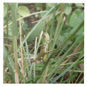 Grasshopper Camouflage Tile Fliese