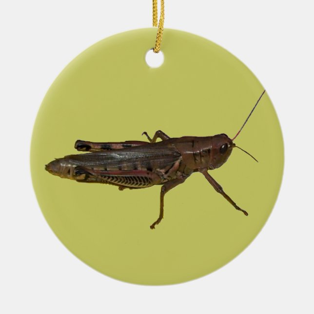 Grasshopper-Design Keramik Ornament (Vorne)