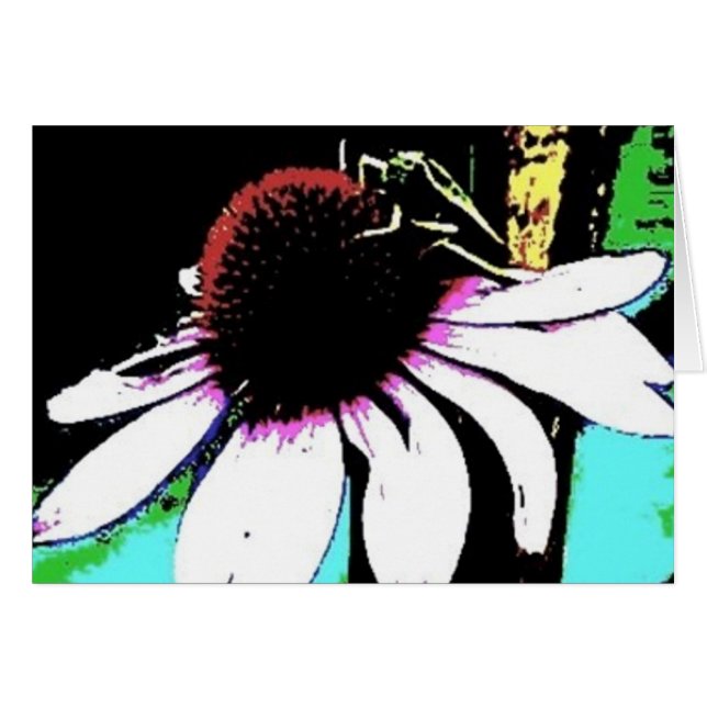 Grasshopper Echinacea Abstrakt (Vorderseite (Horizontal))