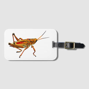 Grasshopper Gepäckanhänger