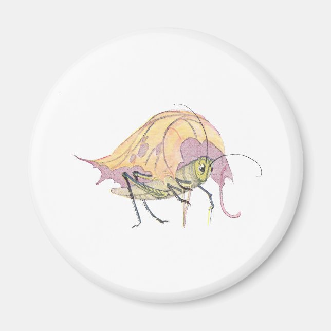 Grasshopper Grau mit Kruste Magnet (Vorne)