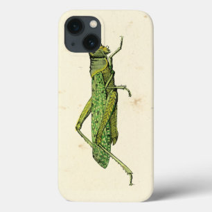 Grasshopper in der Printwerbung iPhone 13 Hülle