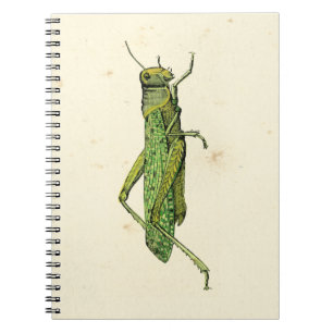 Grasshopper in der Printwerbung Notizblock