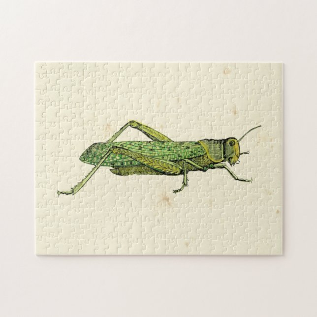 Grasshopper in der Printwerbung Puzzle (Horizontal)