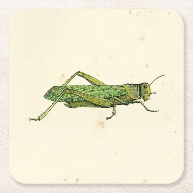 Grasshopper in der Printwerbung Rechteckiger Pappuntersetzer (Vorderseite)