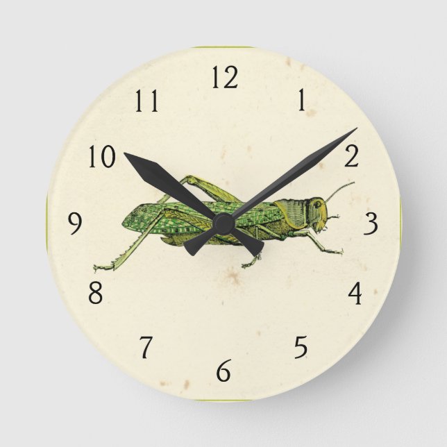 Grasshopper in der Printwerbung Runde Wanduhr (Vorderseite)