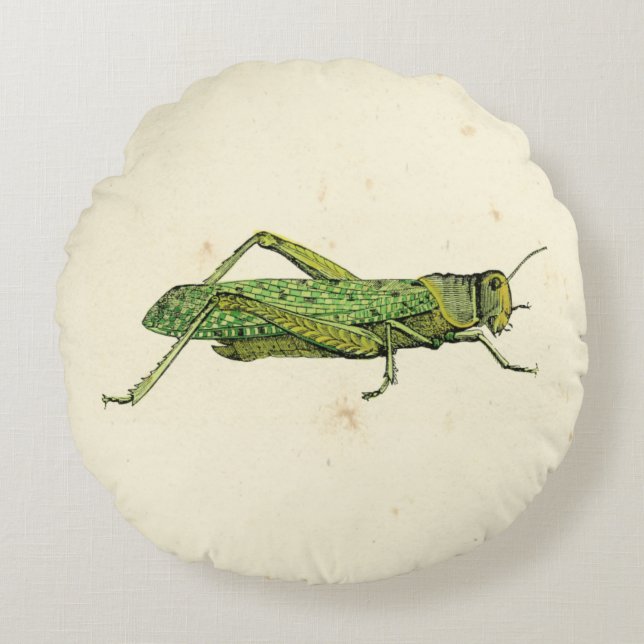 Grasshopper in der Printwerbung Rundes Kissen (Vorderseite)