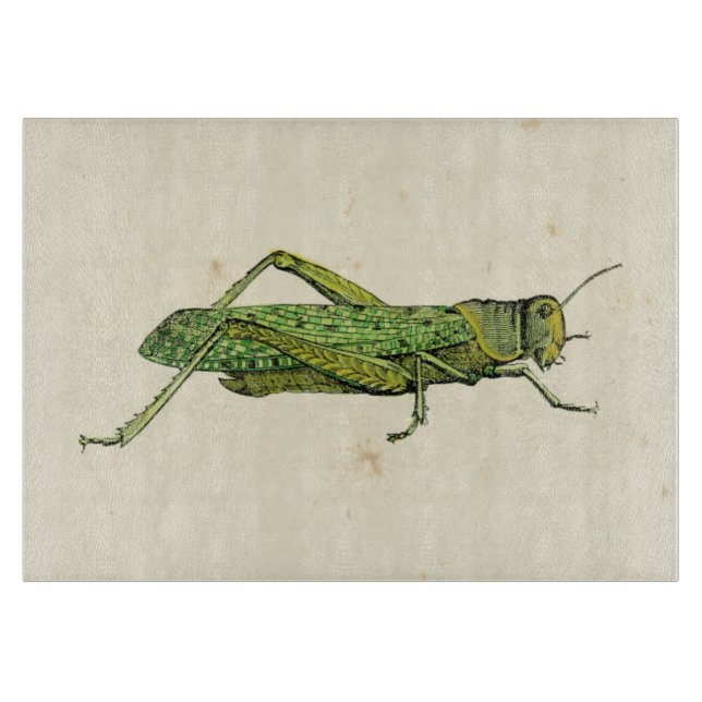 Grasshopper in der Printwerbung Schneidebrett (Vorderseite)