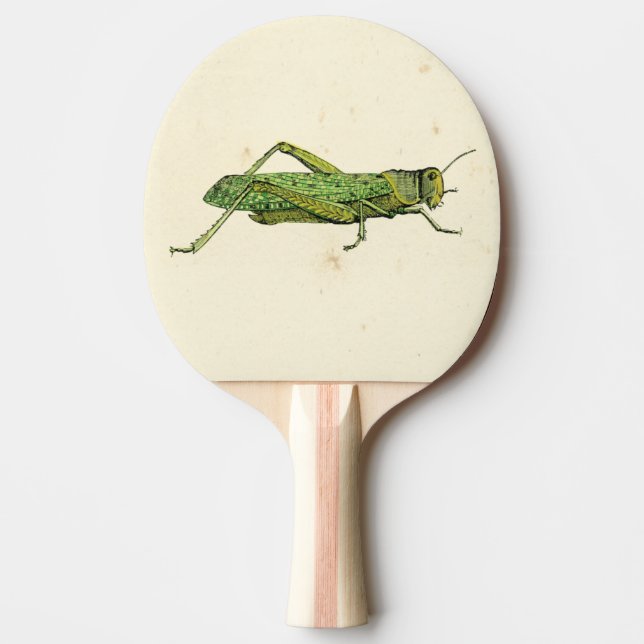 Grasshopper in der Printwerbung Tischtennis Schläger (Vorderseite)
