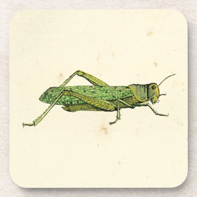 Grasshopper in der Printwerbung Untersetzer (Vorderseite)