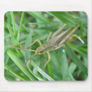 Grasshopper Mousepad
