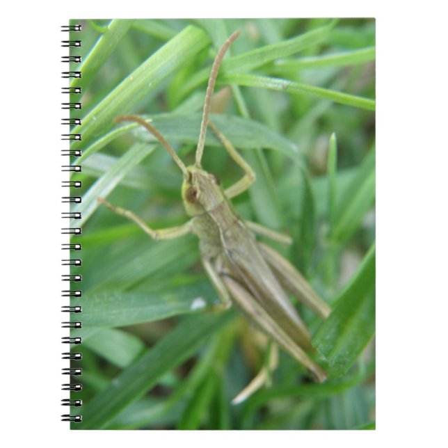 Grasshopper-Notebook Notizblock (Vorderseite)