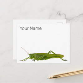 Grasshopper oder Retro-Insekt Feiertagspostkarte