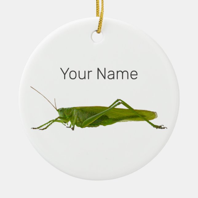 Grasshopper oder Retro-Insekt Keramik Ornament (Vorne)