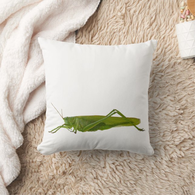 Grasshopper oder Retro-Insekt Kissen (Decke)