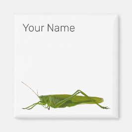 Grasshopper oder Retro-Insekt Magnet