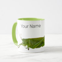Grasshopper oder Retro-Insekt