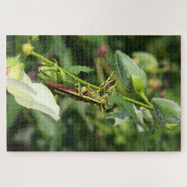 Grasshopper Pair 2 Puzzle (Horizontal)