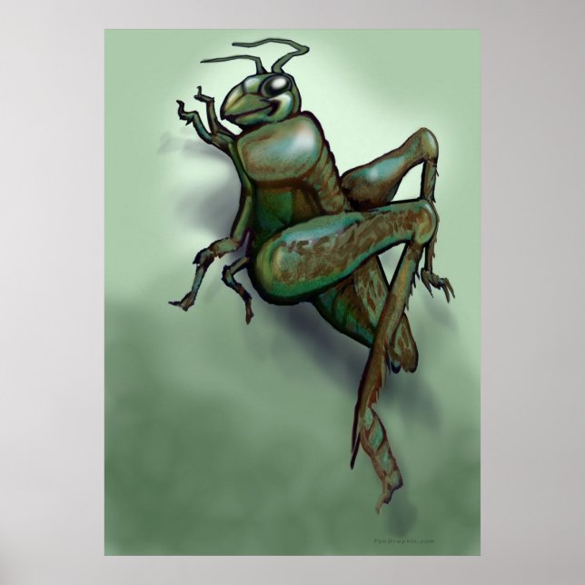 Grasshopper Poster (Vorne)