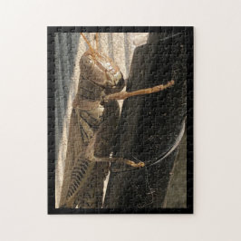 Grasshopper Puzzle