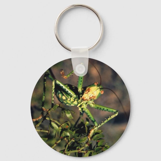 Grasshopper Schlüsselanhänger (Vorderseite)