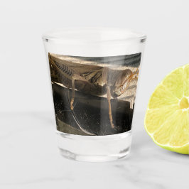 Grasshopper Schnapsglas