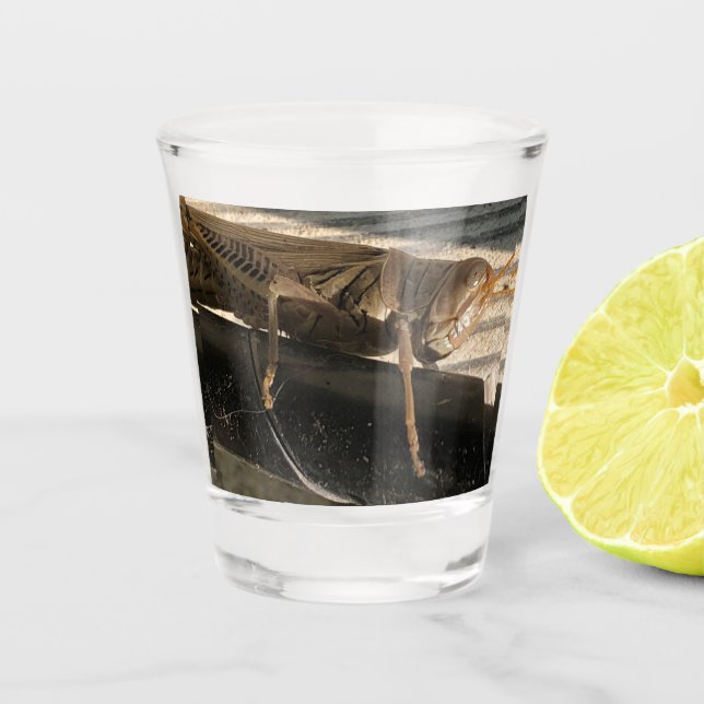 Grasshopper Schnapsglas (Vorderseite)