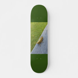 Grasshopper Skateboard