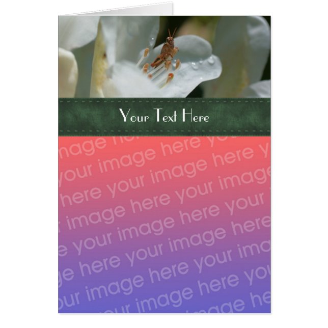 Grasshopper und Azalea Blumenkarte (Vorne)