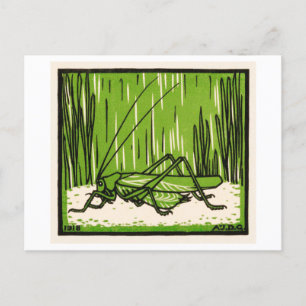Grasshopper Vintag Illustration Postkarte