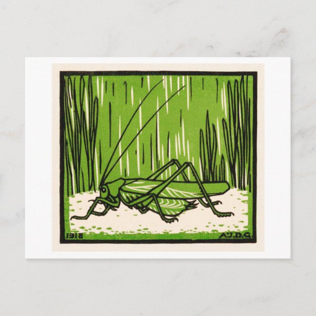 Grasshopper Vintag Illustration Postkarte (Vorderseite)