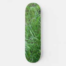 Grasskateboard