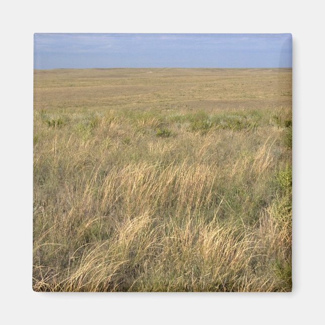 Grassland Prärie östlich von Sidney, Nebraska. Magnet (Vorne)