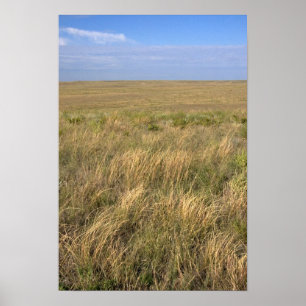 Grassland Prärie östlich von Sidney, Nebraska. Poster