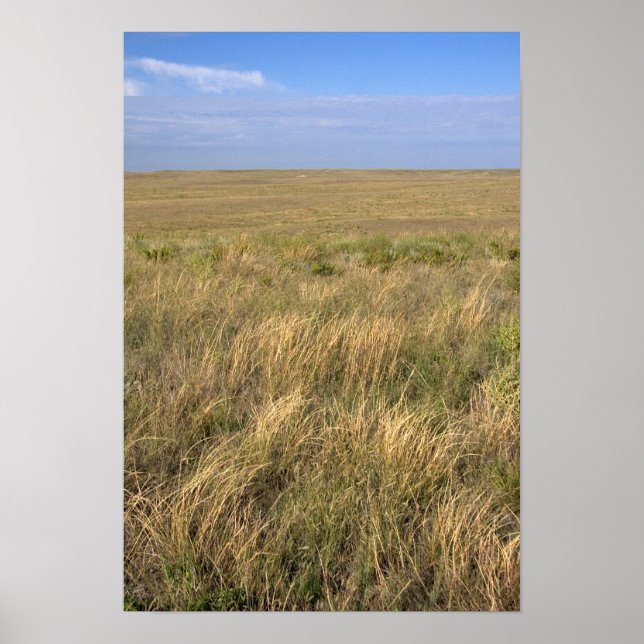 Grassland Prärie östlich von Sidney, Nebraska. Poster (Vorne)