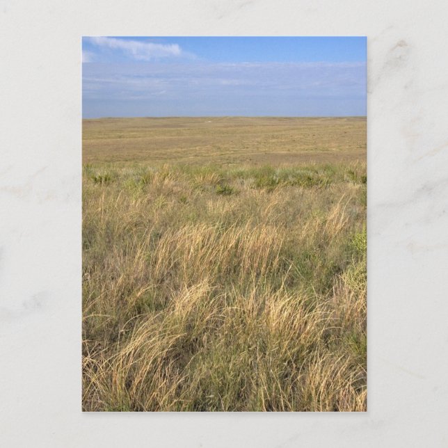 Grassland Prärie östlich von Sidney, Nebraska. Postkarte (Vorderseite)
