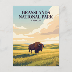 Grasslands National Park Kanada Postkarte