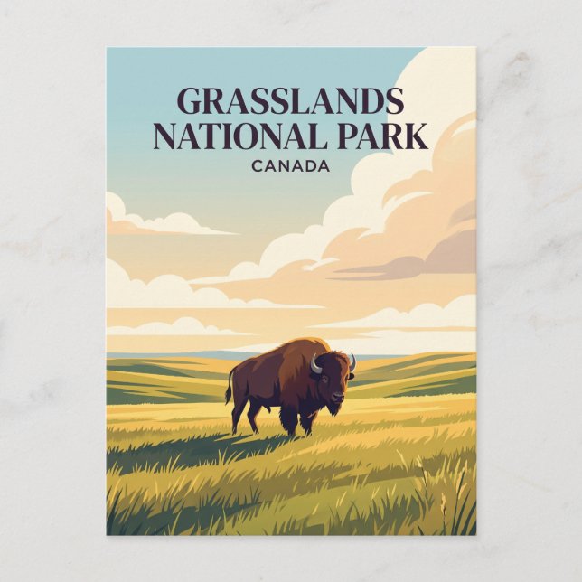 Grasslands National Park Kanada Postkarte (Vorderseite)