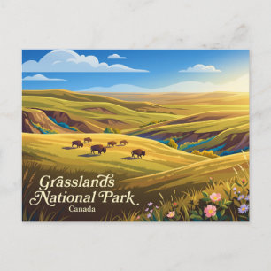 Grasslands National Park Kanada Postkarte