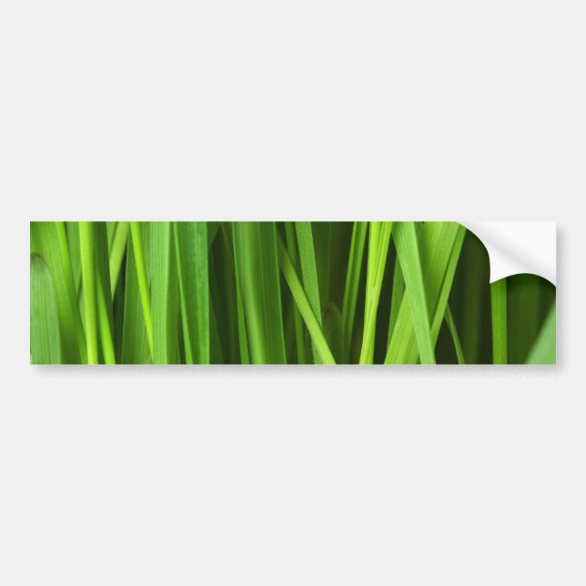 Grasstrahlen Autoaufkleber (Vorne)
